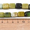 Natural Serpentine Beads Strands G-D098-D06-5