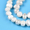 Natural Cultured Freshwater Pearl Beads Strands PEAR-N014-03C-4