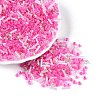 Glass Seed Beads & Bugle Beads SEED-Q041-04B-1