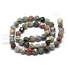 Natural Ocean Jasper Beads Strands G-R448-8mm-11-2