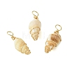 Natural Spiral Shell Pendants PALLOY-JF02793-01-1