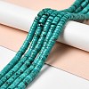 Natural Howlite Beads Strands G-B049-A01-02B-2