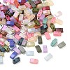 Glass 2-Hole Baking Paint Glass Seed Beads GLAA-G130-01F-1