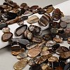 Natural Petrified Wood Beads Strands G-C253-06-1