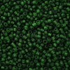 (Repacking Service Available) Glass Seed Beads SEED-C017-3mm-M7-2