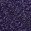 MIYUKI Delica Beads SEED-X0054-DB1756-3