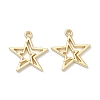 Alloy Pendants PALLOY-A025-03A-G-1