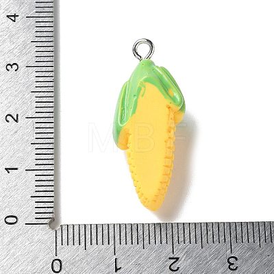 Resin Iron Pendants RESI-D280-18-1