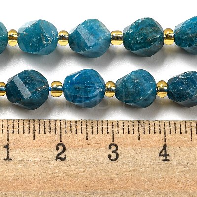 Natural Apatite Beads Strands G-M443-B06-02-1