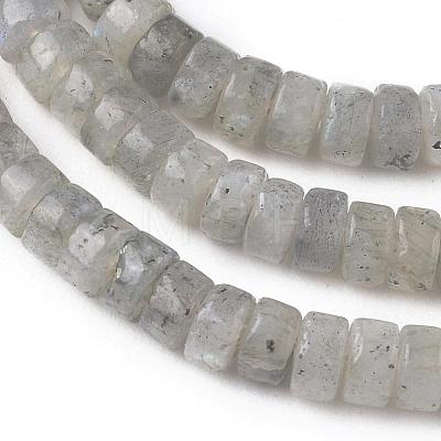 Natural Labradorite Beads Strands G-L528-08-1