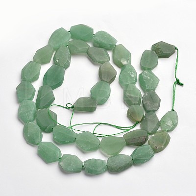 Nuggets Natural Frosted Green Aventurine Bead Strands G-N0156-02-1