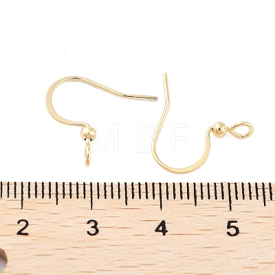 316 Surgical Stainless Steel Earring Hooks LS-X-STAS-K274-10G-1