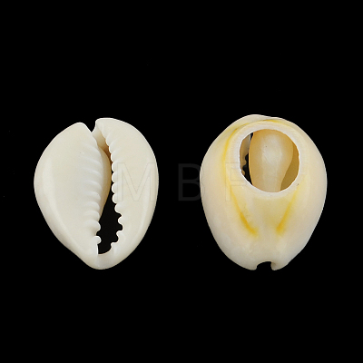 Natural Mixed Cowrie Shell Beads BSHE-S053-01-1