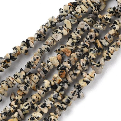 Natural Dalmatian Jasper Beads Strands X-G-G0003-B29-1