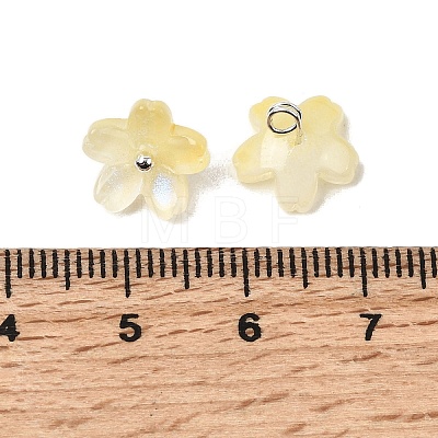 Glass Charms GLAA-G127-05D-1