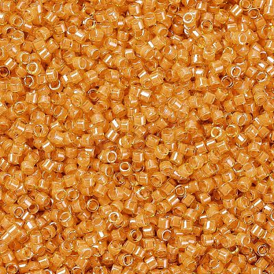 MIYUKI Delica Beads X-SEED-J020-DB2045-1