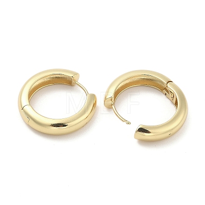 Brass Hoop Earrings EJEW-M260-08G-1