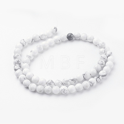 Natural Howlite Bead Strands G-G735-66-6mm-1