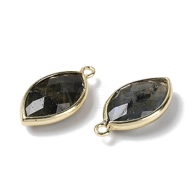 Natural Labradorite Pendants X-G-B009-01G-R-1