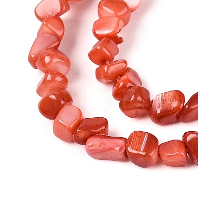 Natural Freshwater Shell Beads Strands SHEL-N037-04D-1