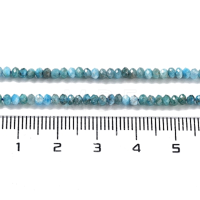 Natural Apatite Beads Strands G-J400-C01-01-1