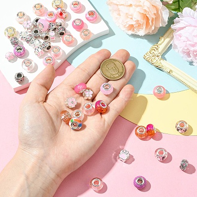 50Pcs Resin European Beads RESI-CJC0050-01B-1