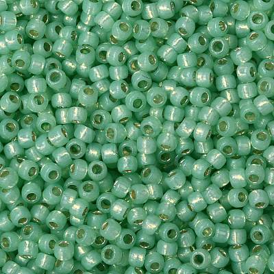 TOHO Round Seed Beads SEED-XTR08-PF2103-1