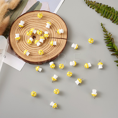 Plastic Pendants KY-TA0001-15B-1