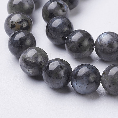 Natural Larvikite Beads Strands X-GSR8mmC128-1