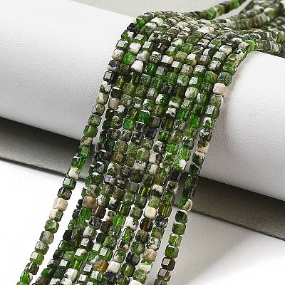 Natural Diopside Beads Strands G-G161-C23-01-1