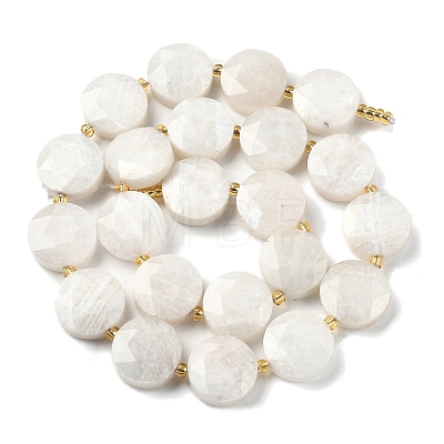 Natural Rainbow Moonstone Beads Strands G-C116-A168-03-1