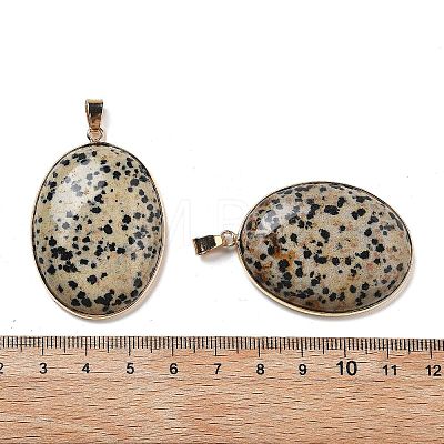 Electroplate Natural Dalmatian Jasper Pendants KK-F882-06G-04-1