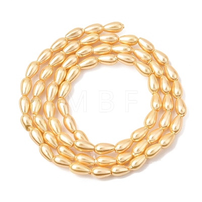 Electroplated Shell Pearl Beads Strands BSHE-C010-01A-1