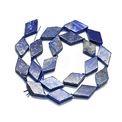 Natural Lapis Lazuli Beads Strands G-K245-E05-A02-1