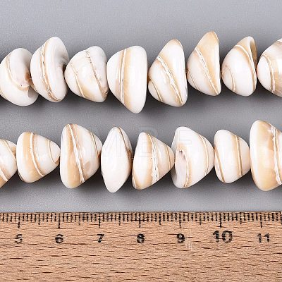 Natural Sea Shell Beads Strands SHEL-Q028-02-1