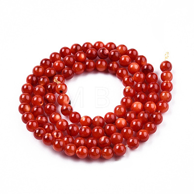 Natural Freshwater Shell Beads Strands SHEL-N026-205C-01-1