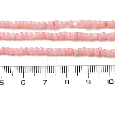 Natural Freshwater Shell Beads Strands SHEL-P017-01B-09-1