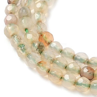 Natural Agate Beads Strands G-H302-A04-04-1