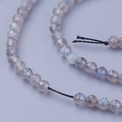 Natural Labradorite Beads Strands G-F619-15-2mm-1