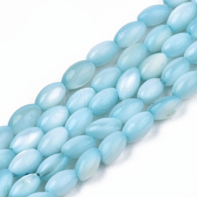 Natural Freshwater Shell Beads Strands SHEL-N003-25-B02-1