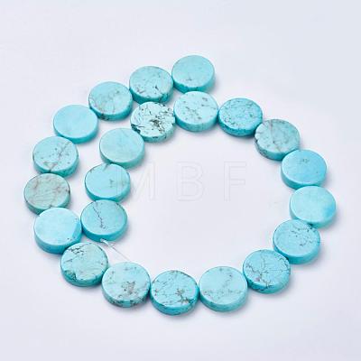 Natural Magnesite Beads Strands TURQ-K003-16-1
