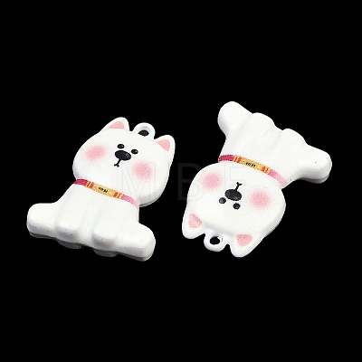 Alloy Pendants FIND-E055-03A-1