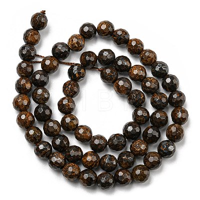 Natural Bronzite Beads Strands G-E571-42A-1