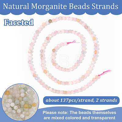  2 Strands Natural Morganite Beads Strands G-NB0004-76-1