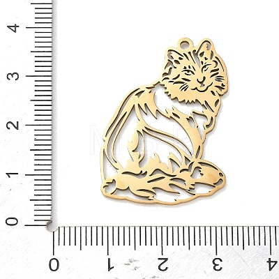 201 Stainless Steel Pendants SA-CBAE892-01G-06-1