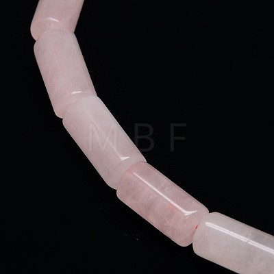 Natural Gemstone Rose Quartz Beads Strands G-L166-15-1