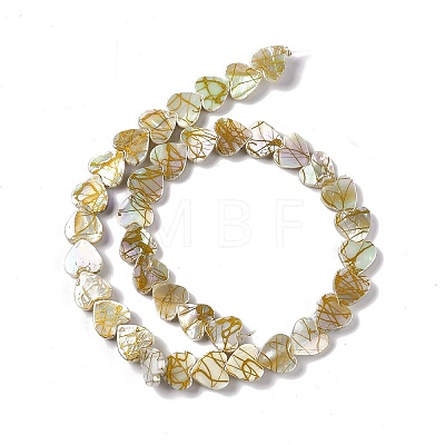 Drawbench Style Natural Freshwater Shell Beads Strands SHEL-F003-03-1