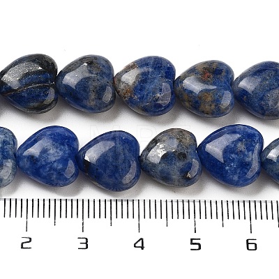 Natural Sodalite Beads Strands G-B022-36C-1