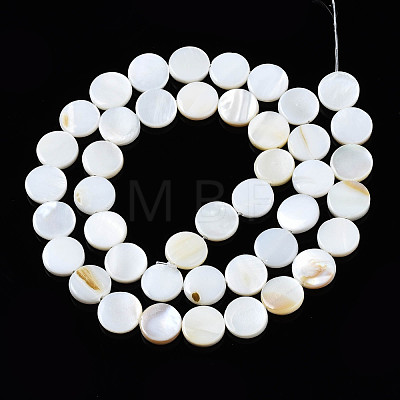Natural Freshwater Shell Beads Strands SHEL-Q024-016-1