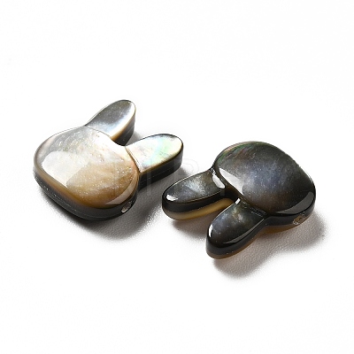 Natural Black Lip Shell Beads SHEL-G014-06B-1